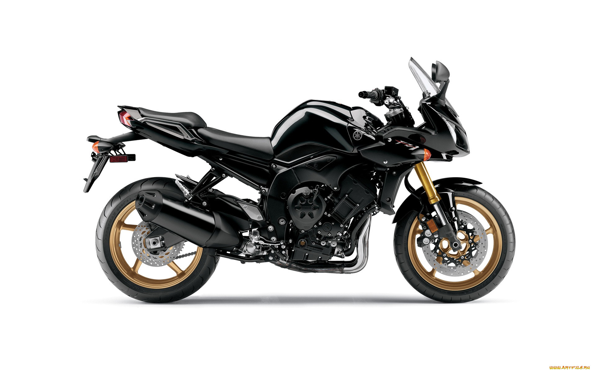 , yamaha, 2010, fz1